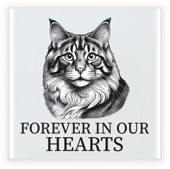 Bellatio Decorations Herdenking cadeau tegel kattenliefhebber - Sibersiche Boskat kat/poes - zwart/wit - keramiek - 15 cm