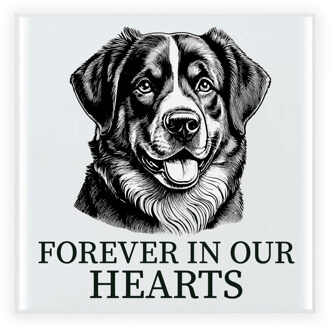 Bellatio Decorations Herdenkings cadeau tegel - hondenliefhebber - Benner Senner hond - zwart/wit - keramiek - 15 x 15 cm