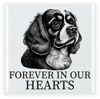 Bellatio Decorations Herdenkings cadeau tegel - hondenliefhebber - Cavalier King Charles Spaniel hond - zwart/wit - 15 cm