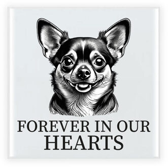 Bellatio Decorations Herdenkings cadeau tegel - hondenliefhebber - Chihuahua hond - zwart/wit - keramiek - 15 cm