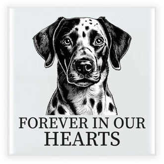 Bellatio Decorations Herdenkings cadeau tegel - hondenliefhebber - Dalmatier hond - zwart/wit - keramiek - 15 cm