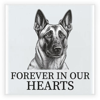 Bellatio Decorations Herdenkings cadeau tegel - hondenliefhebber - Mechelse Herdershond - zwart/wit - keramiek - 15 cm