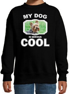 Bellatio Decorations Honden liefhebber trui / sweater Yorkshire terrier my dog is serious cool zwart voor kinderen 12-13 jaar (152/164)