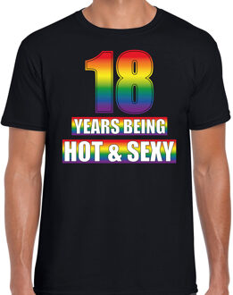 Bellatio Decorations Hot en sexy 18 jaar verjaardag cadeau t-shirt zwart voor heren - Gay/ LHBT kleding / outfit 2XL