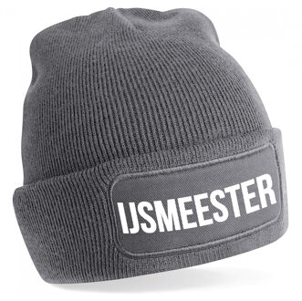 Bellatio Decorations IJsmeester muts - unisex - one size - grijs
