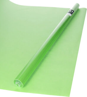 Bellatio Decorations Inpakpapier - groen - unikleur - 200x70 cm - cadeaupapier