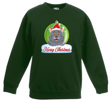 Bellatio Decorations Kersttrui Merry Christmas grijze kat / poes kerstbal groen kinde