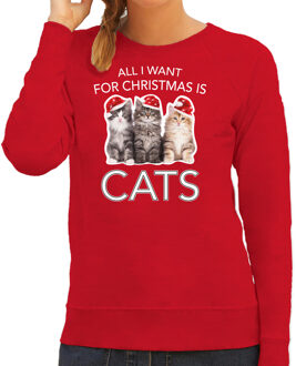 Bellatio Decorations Kitten Kerst sweater / outfit All I want for Christmas is cats rood voor dames