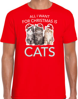 Bellatio Decorations Kitten Kerst t-shirt / outfit All i want for Christmas is cats rood voor heren