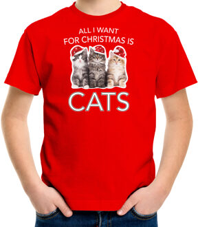 Bellatio Decorations Kitten Kerst t-shirt / outfit All i want for Christmas is cats rood voor kinderen