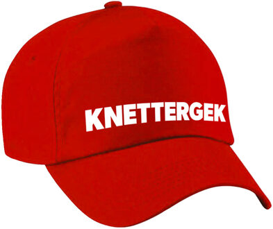 Bellatio Decorations Knettergek fun pet rood voor volwassenen