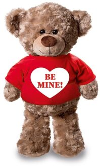 Bellatio Decorations Knuffel teddybeer hartje - be mine - 24 cm - pluche - met shirt