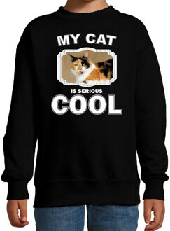 Bellatio Decorations Lapjeskat katten trui / sweater my cat is serious cool zwart - kinderen - katten / poezen liefhebber cadeau sweaters 12-13 jaar (152/164)