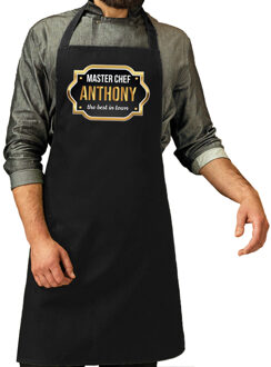 Bellatio Decorations Master chef Anthony keukenschort/ barbecue schort zwart voor heren - Feestschorten