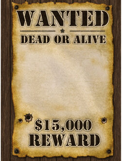 Bellatio Decorations Most Wanted reward poster - Feestposters Multikleur