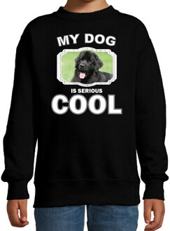 Bellatio Decorations Newfoundlander honden trui / sweater my dog is serious cool zwart - kinderen - Newfoundlanders liefhebber cadeau sweaters 12-13 jaar (152/164)