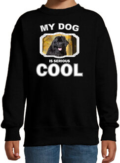 Bellatio Decorations Newfoundlander  honden trui / sweater my dog is serious cool zwart - kinderen - Newfoundlanders liefhebber cadeau sweaters 12-13 jaar (152/164)