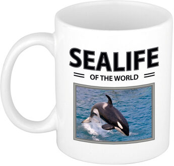 Bellatio Decorations Orka mok met dieren foto sealife of the world Wit
