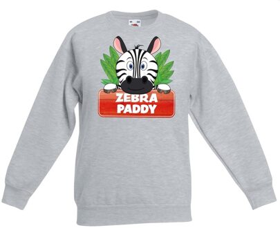 Bellatio Decorations Paddy de zebra sweater grijs voor kinderen - unisex - zebra trui 12-13 jaar (152/164)