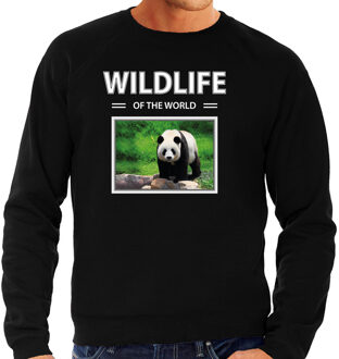 Bellatio Decorations Panda sweater / trui met dieren foto wildlife of the world zwart voor heren