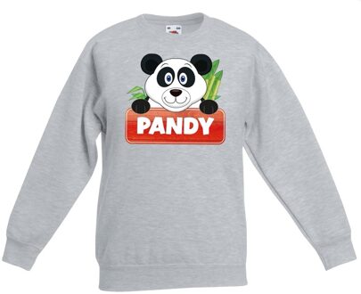 Bellatio Decorations Pandy de panda sweater grijs voor kinderen - unisex - pandabeer trui 12-13 jaar (152/164)