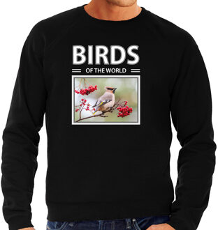 Bellatio Decorations Pestvogels sweater / trui met dieren foto birds of the world zwart voor heren