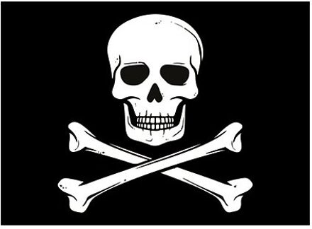 Bellatio Decorations Piraten vlag thema stickers - zwart - versiering - 7.5 x 10 cm - hobby