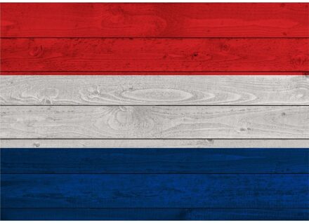 Bellatio Decorations Poster van de Nederlandse vlag op hout 84 cm