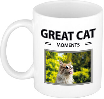 Bellatio Decorations Rode katten mok met dieren foto great cat moments