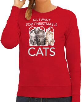 Bellatio Decorations Rode Kersttrui / Kerstkleding All I want for christmas is cats voor dames XS - kerst truien Rood