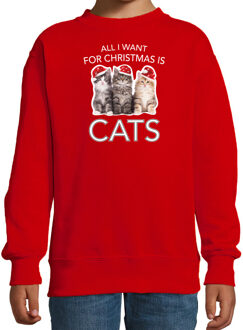 Bellatio Decorations Rode Kersttrui / Kerstkleding All I want for christmas is cats voor kinderen 12-13 jaar (152/164) - kerst truien kind Rood