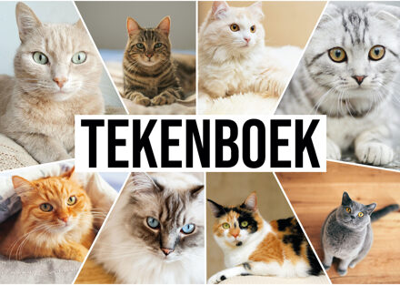 Bellatio Decorations schetsboek- tekenboek - kleurboek - A4 - Katten print - 50 vellen blanco