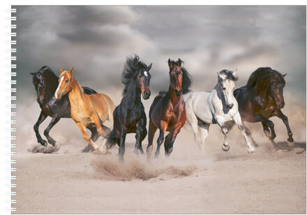 Bellatio Decorations schetsboek- tekenboek - kleurboek - A4 - Paarden print - 50 vellen blanco Wit