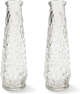 Bellatio Decorations Set van 2x stuks bloemenvaas/bloemenvazen 6 x 22 cm transparant glas - Vazen