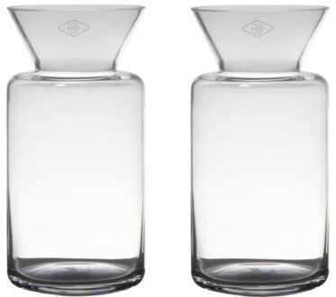 Bellatio Decorations Set van 2x stuks transparante luxe stijlvolle vaas/vazen van glas 30 x 15 cm - Bloemen/boeketten vaas voor binnen gebruik