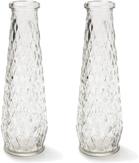 Bellatio Decorations Set van 2x stuks transparante vaas/vazen van glas 6 x 22 cm