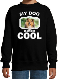 Bellatio Decorations Sheltie honden trui / sweater my dog is serious cool zwart - kinderen - Shelties liefhebber cadeau sweaters 12-13 jaar (152/164)