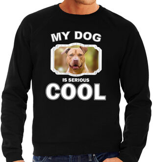 Bellatio Decorations Staffordshire bull terrier honden trui / sweater my dog is serious cool zwart - heren - Staffordshire bull terriers liefhebber cadeau sweaters 2XL