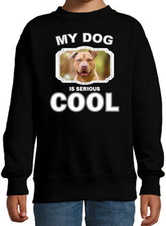 Bellatio Decorations Staffordshire bull terrier honden trui / sweater my dog is serious cool zwart - kinderen - Staffordshire bull terriers liefhebber cadeau sweaters 12-13 jaar (152/164)