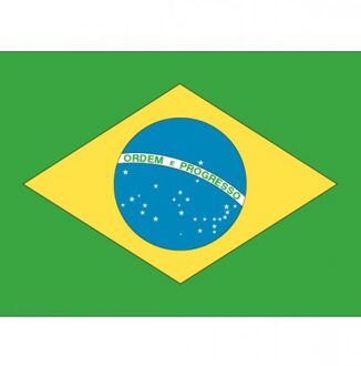 Bellatio Decorations Stickers Brazilie vlaggen