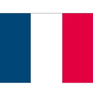 Bellatio Decorations Stickers van de Franse vlag