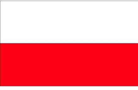 Bellatio Decorations Stickers van de Polen vlag