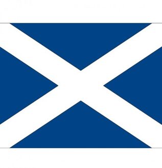 Bellatio Decorations Stickers van de Schotse vlag