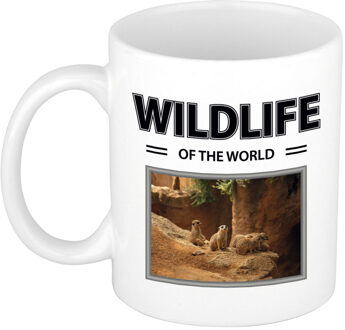 Bellatio Decorations Stokstaartje mok met dieren foto wildlife of the world Wit