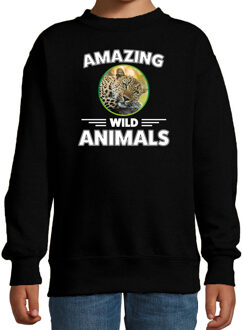 Bellatio Decorations Sweater jachtluipaarden amazing wild animals / dieren trui zwart voor kinderen 12-13 jaar (152/164)