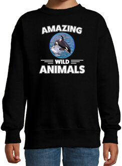 Bellatio Decorations Sweater orka walvissen amazing wild animals / dieren trui zwart voor kinderen 12-13 jaar (152/164)