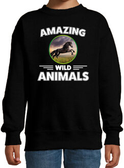 Bellatio Decorations Sweater paarden amazing wild animals / dieren trui zwart voor kinderen 12-13 jaar (152/164)