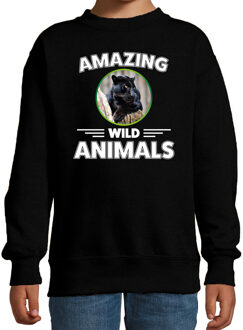 Bellatio Decorations Sweater panters are serious cool zwart kinderen - zwarte panters/ panter trui 12-13 jaar (152/164)