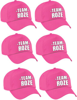Bellatio Decorations Team roze petje - 6x - volwassenen - voor bedrijfsuitje / sportdag / training - baseballcap