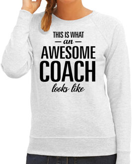 Bellatio Decorations This is what an awesome coach looks like cadeau sweater / trui grijs dames S